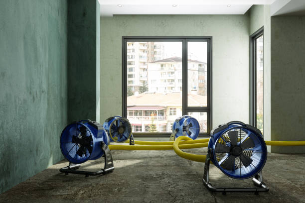 Best Water damage restoration process  in Milton, PA