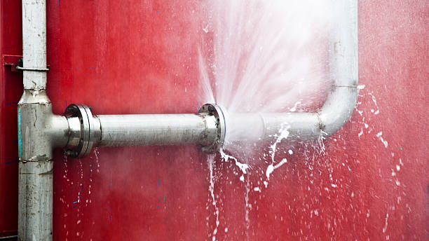 Best Flooded house restoration  in Milton, PA